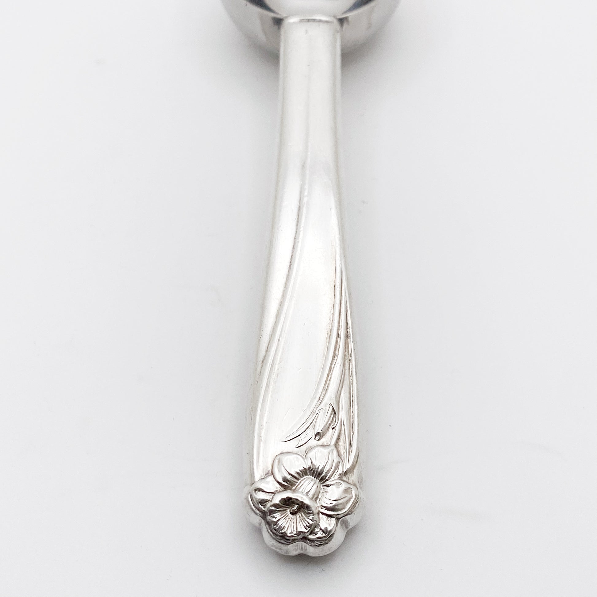 Daffodil 1950, RARE Coffee Measuring Spoon, Vintage Silverware Scoop Scoop callistafaye   