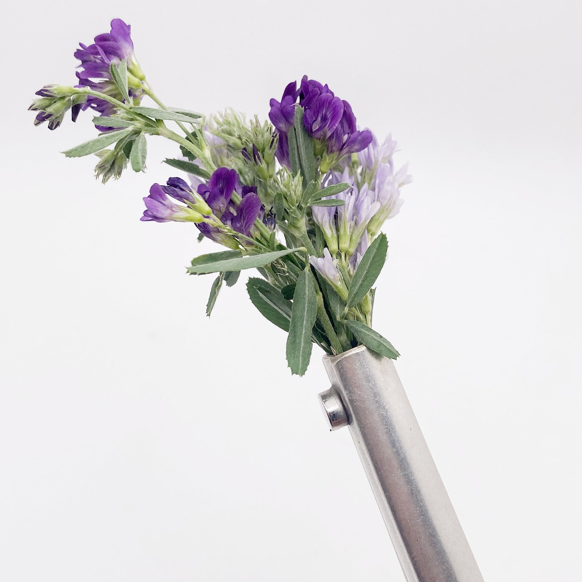 Royal York 1937, Magnetic Bud Vase, Vintage Home Decor, Antique Flower Display Bud Vase callistafaye