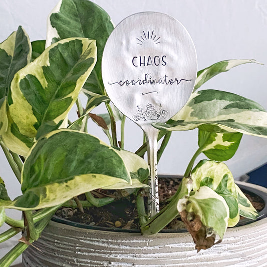 Chaos Coordinator, Plant Marker, Teacher Gift, Vintage Spoon Plant Stake, Hand Stamped Houseplant Decor Plant Stake callistafaye   